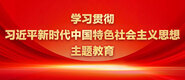 老板轻点艹小说学习贯彻习近平新时代中国特色社会主义思想主题教育_fororder_ad-371X160(2)